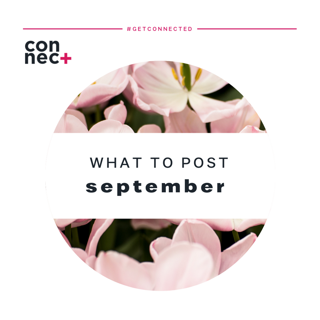 Ideas For Your September Content Calendar