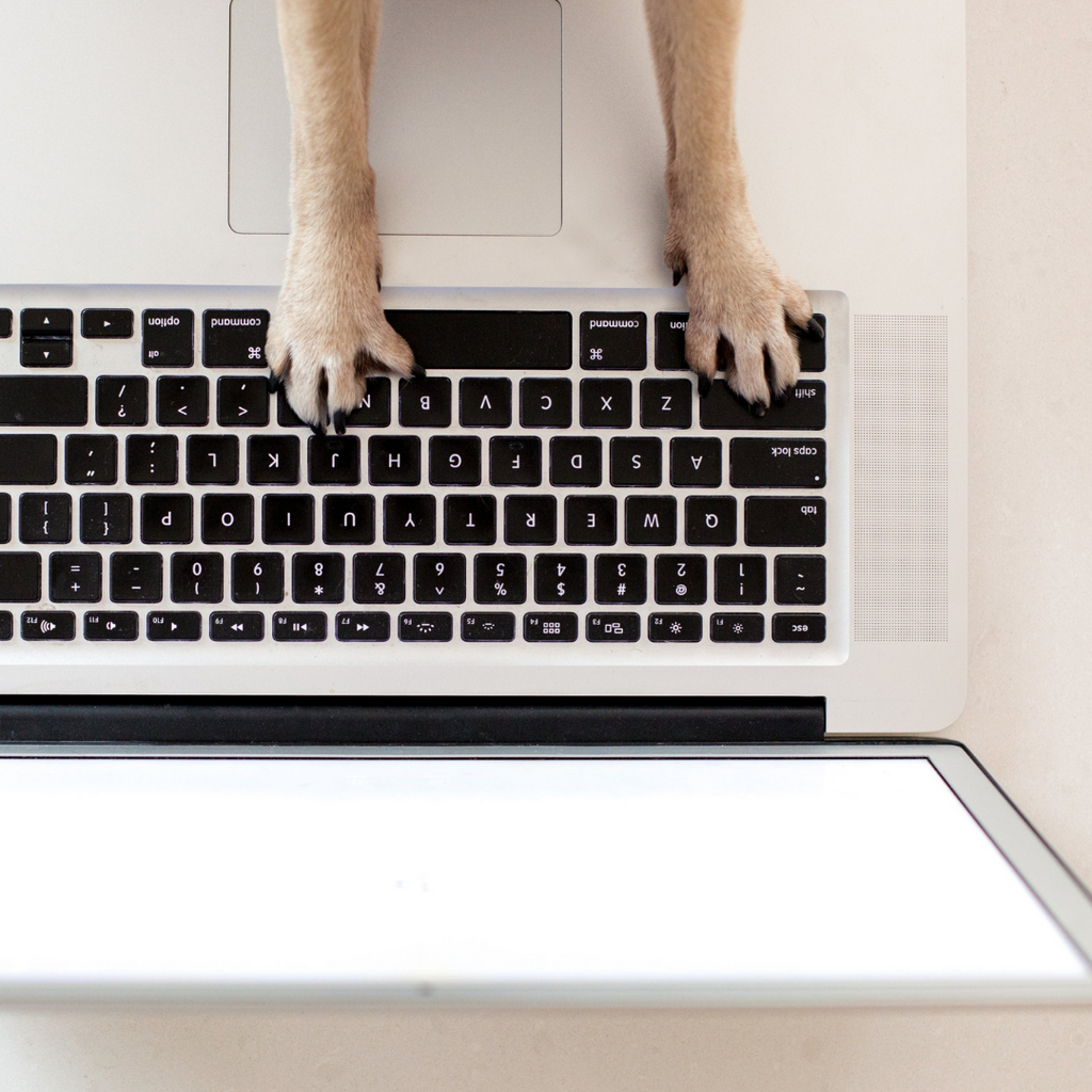 Review Your Business for a Great 2014 (Question 2)